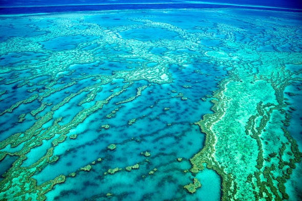 Recent Ocean Heat Waves Have "Forever" Altered Great Barrier Reef