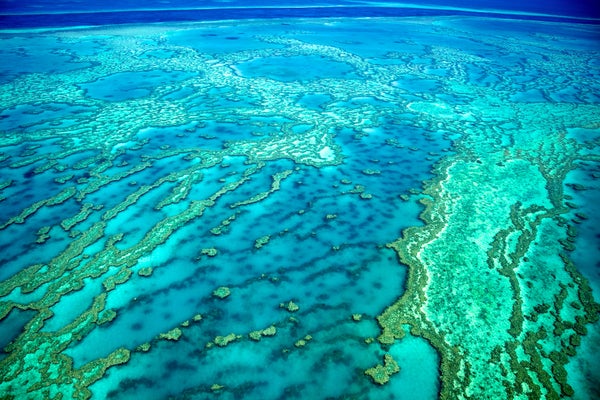Great Barrier Reef aerial Knuckle Reef
