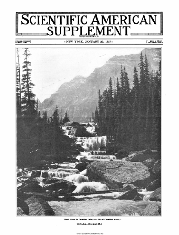 SA Supplements Vol 83 Issue 2142supp