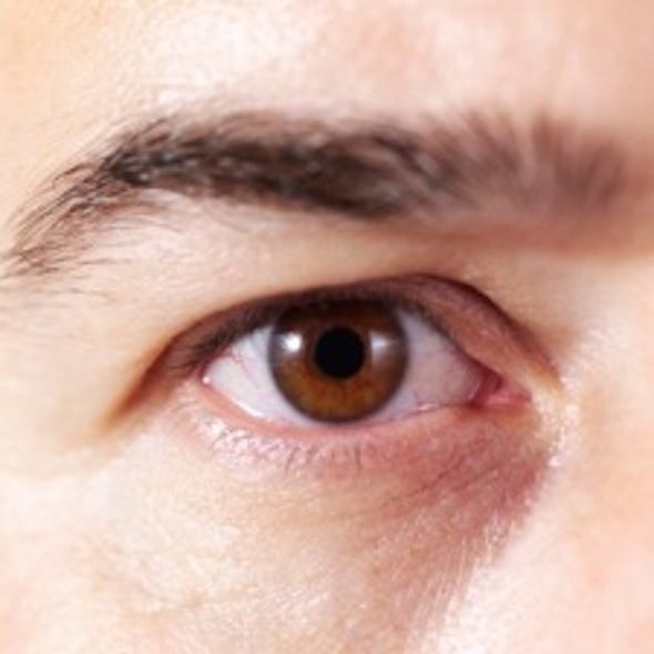 Spooky Eyes: Using Human Volunteers to Witness Quantum Entanglement
