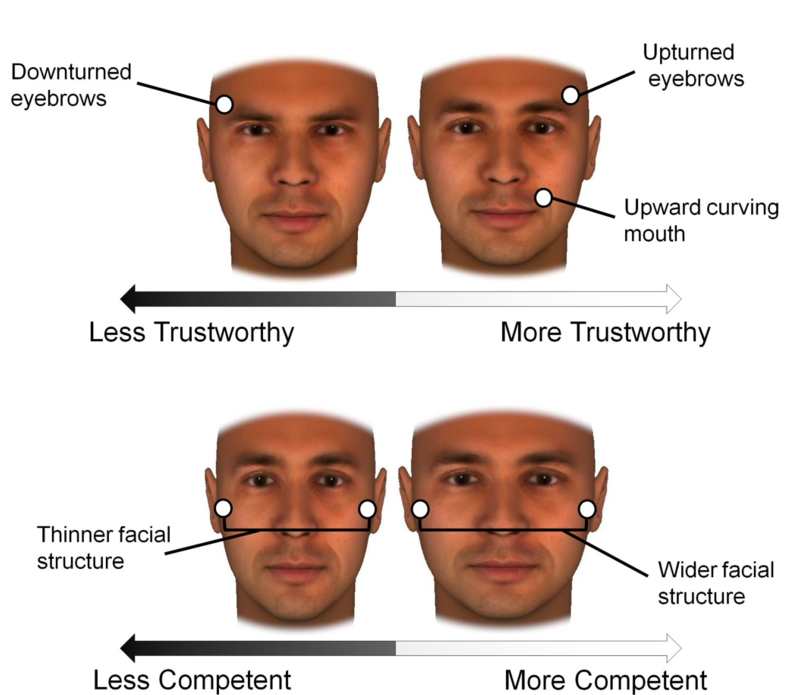 Your Facial Bone Structure Has a Big Influence on How People See You