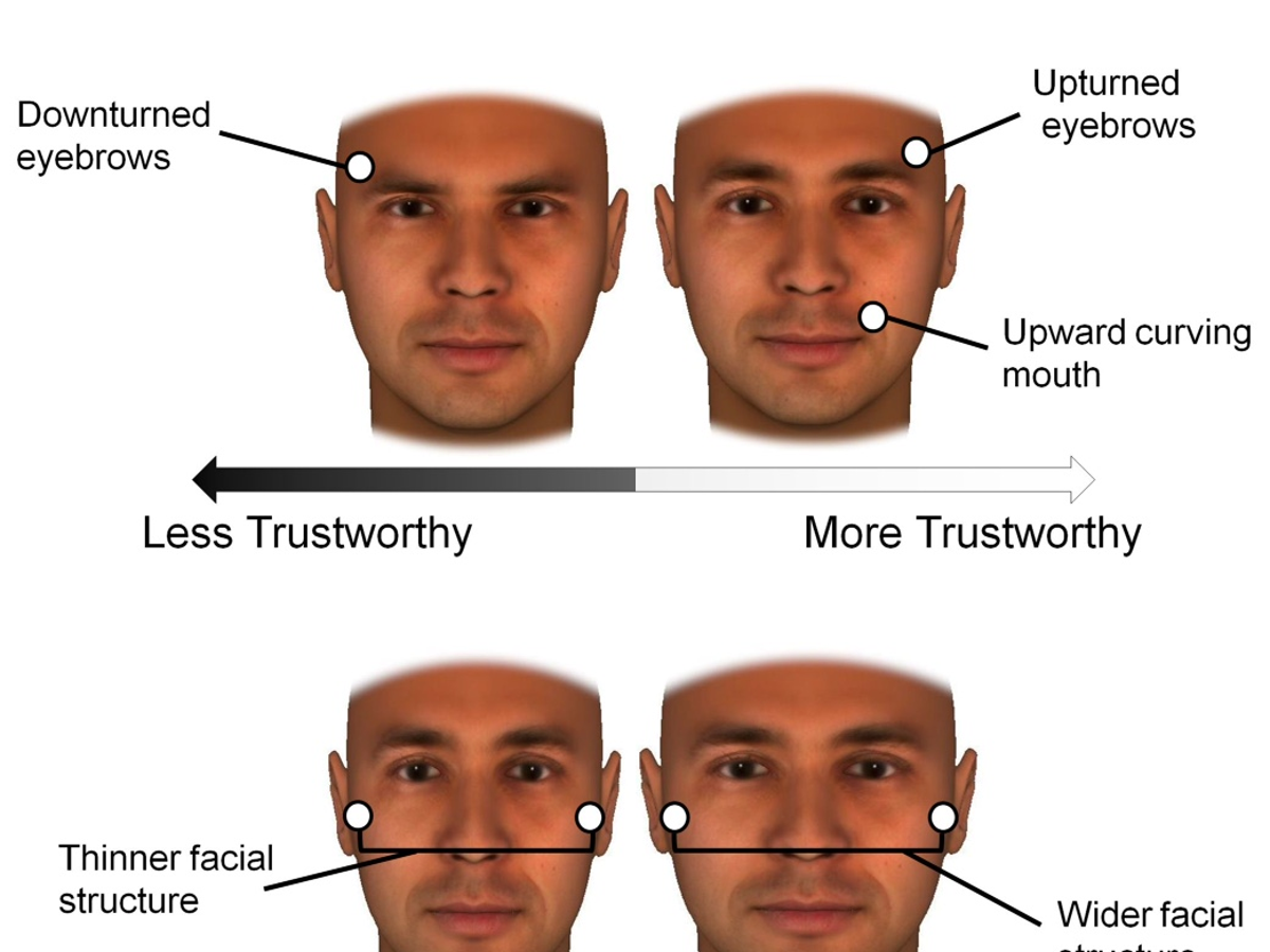 Your Facial Bone Structure Has a Big Influence on How People See You |  Scientific American