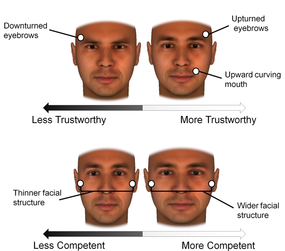 Your Facial Bone Structure Has a Big Influence on How People See You ...