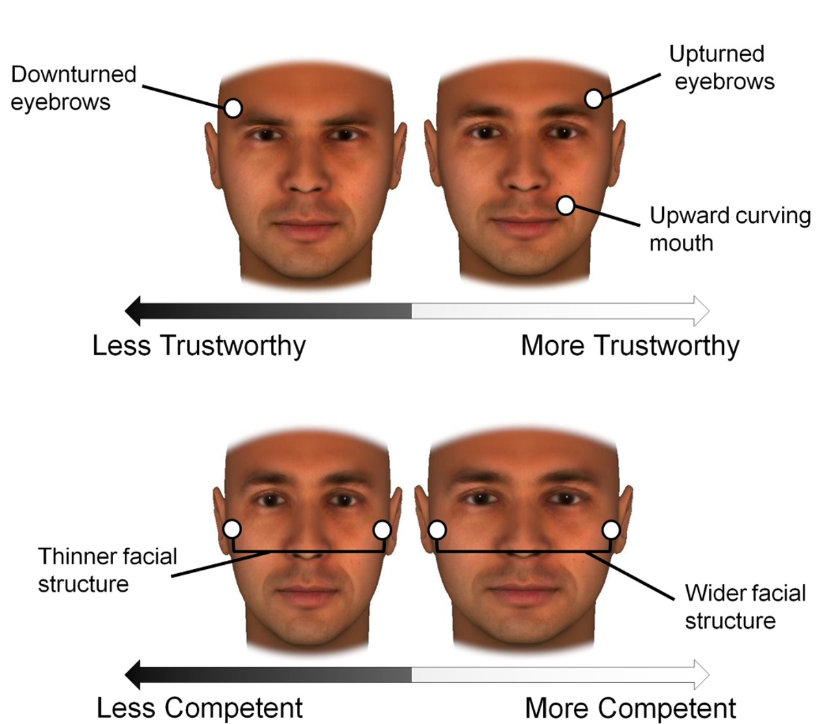 What The Shape Of Your Face Reveals About Your Personality