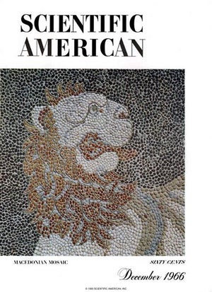 Scientific American Magazine Vol 215 Issue 6