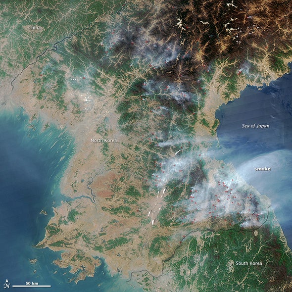 With Widespread Deforestation, North Korea Faces an Environmental Crisis