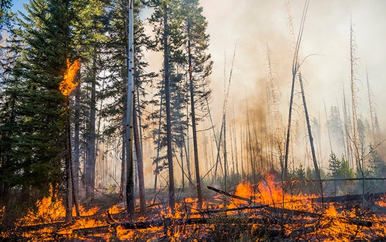 Lightning Caused Fires Rise In Arctic As The Region Warms Scientific American 