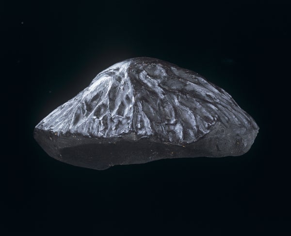 Meteorite.