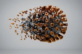 Your Immune System Evolves to Fight Coronavirus Variants