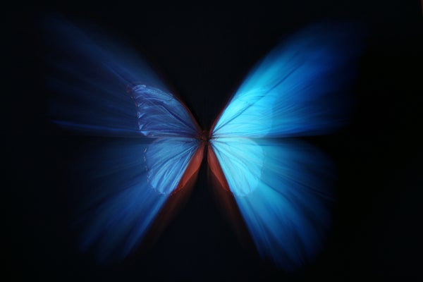 time travel butterfly effect