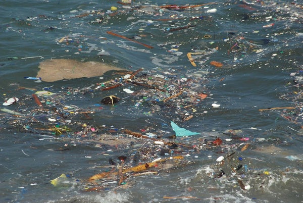 Plastics and other trash floating on the ocean's surface.