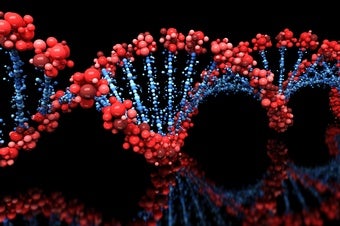 Potential DNA Damage from CRISPR 