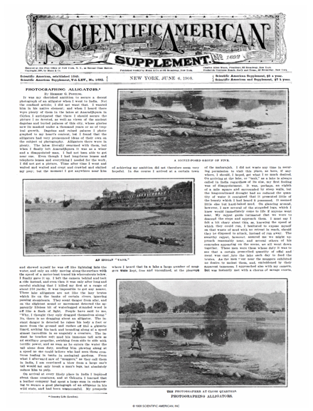 SA Supplements Vol 65 Issue 1692supp