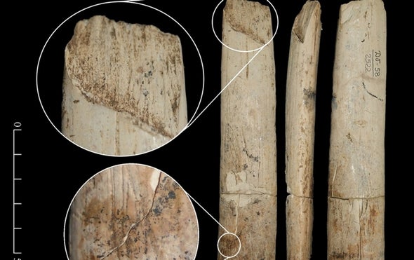 Modern Humans Used Ivory and Bone to Create Tools 30,000 Years Ago [Slide Show]