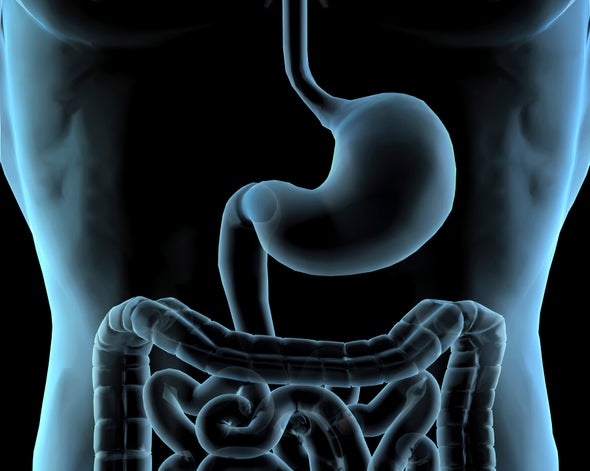 Better Gut Microbiome Census through Computing