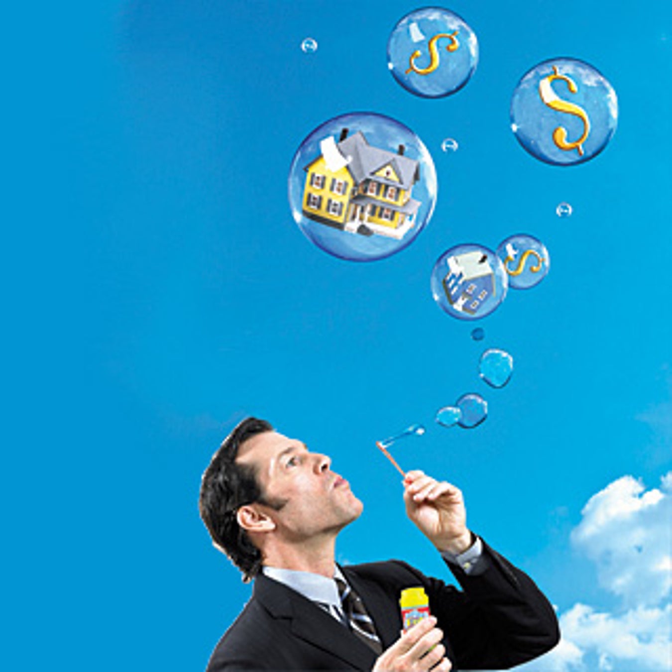 The Science of Economic Bubbles and Busts Scientific American