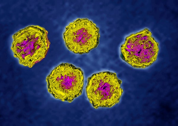 Human Poliovirus Image Hdri made according To A View Under Transmission Electron Microscope  - circular yellow virus illustration with pink center on blue background.