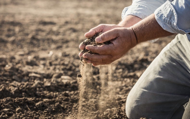 Can Soil Microbes Slow Climate Change? - Scientific American