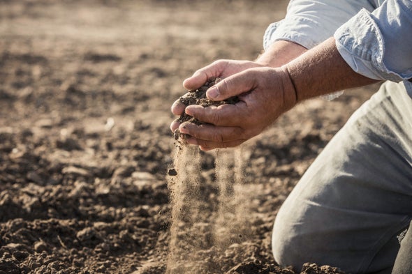 Can Soil Microbes Slow Climate Change?
