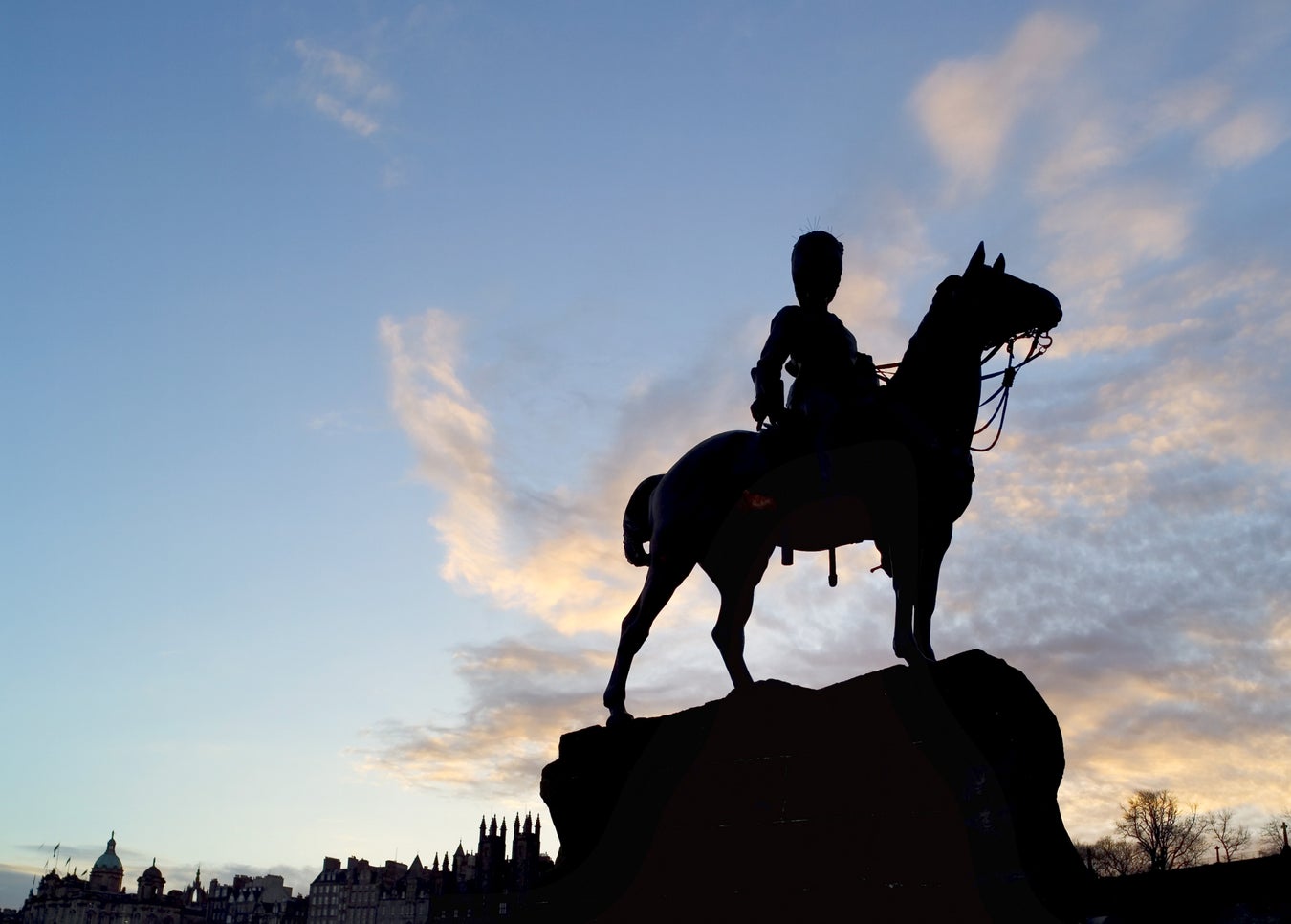 The Epic History of the Horse Scientific American