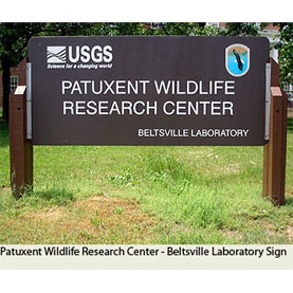 North American Bird Phenology Program