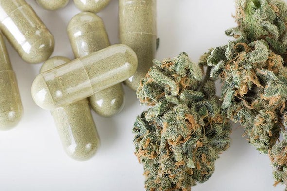 Can Cannabis Treat Epileptic Seizures?
