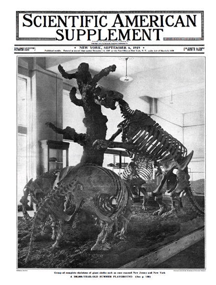 SA Supplements Vol 88 Issue 2279supp