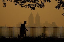 How to Use the Air Quality Index