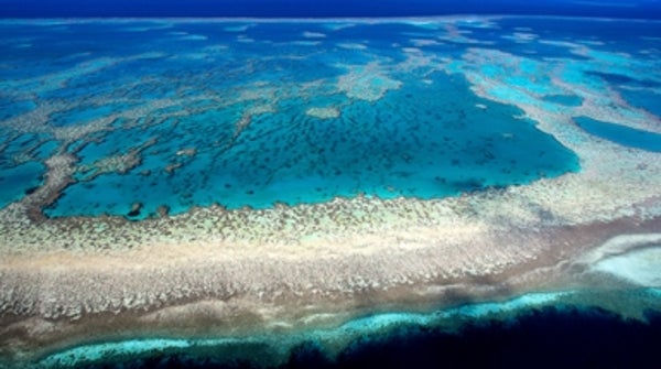 Lowering Ocean Acidity Promotes Coral Growth on Great Barrier Reef ...