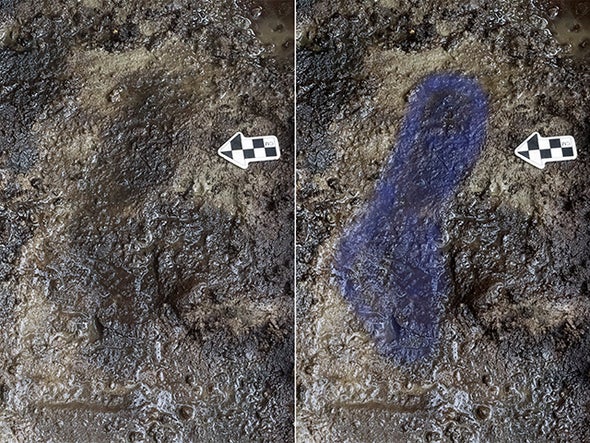 Could These Be the Oldest Human Footprints in North America? 