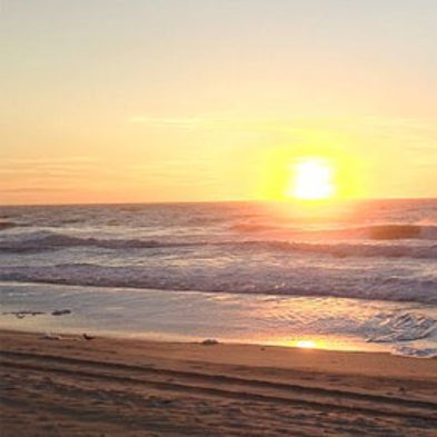 The Man Who Makes Sea Level Rise Go Away