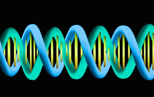 Ancient Clan War Explains Genetic Diversity Drop