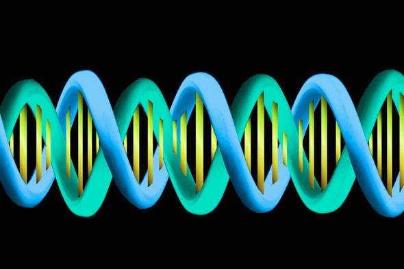Ancient Clan War Explains Genetic Diversity Drop