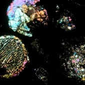 CARBONACEOUS CHONDRITE UP CLOSE: