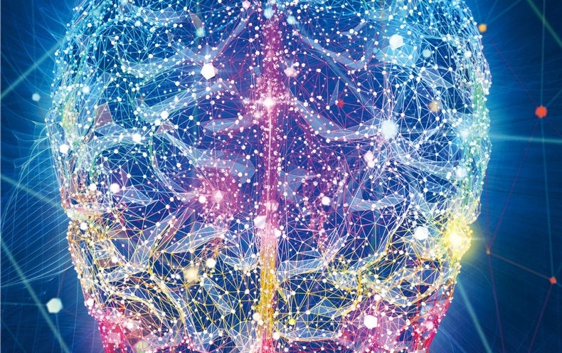 How The Mind Emerges From The Brains Complex Networks Scientific American 