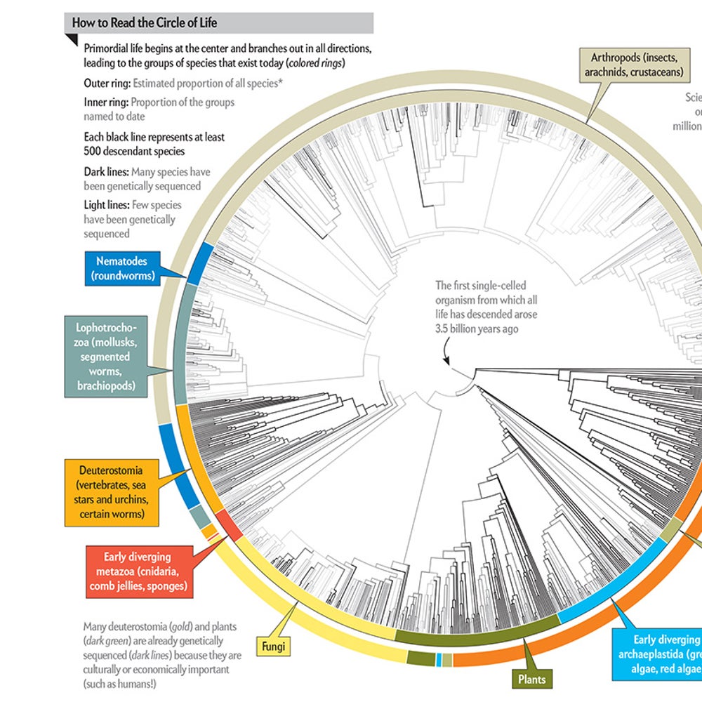 All 2.3 Million Species Are Mapped into a Single Circle of Life |  Scientific American