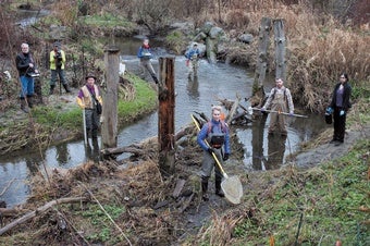 Stream team led by biologist Katherine Lynch