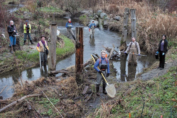 Stream team led by biologist Katherine Lynch (foreground).