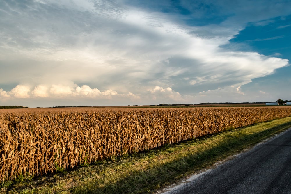 3 Ways Science Is Vital to the United States Department of Agriculture ...