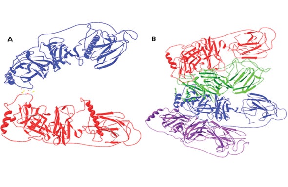 Hacking an Enzyme's Structure Could Lead to Drugs for Alzheimer's and Schizophrenia