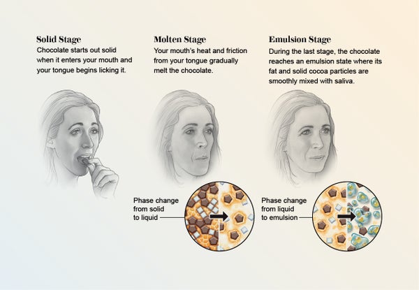 Illustration shows the face of a woman eating a piece of chocolate, and inset illustrations show the components of chocolate during solid, molten and emulsion stages.