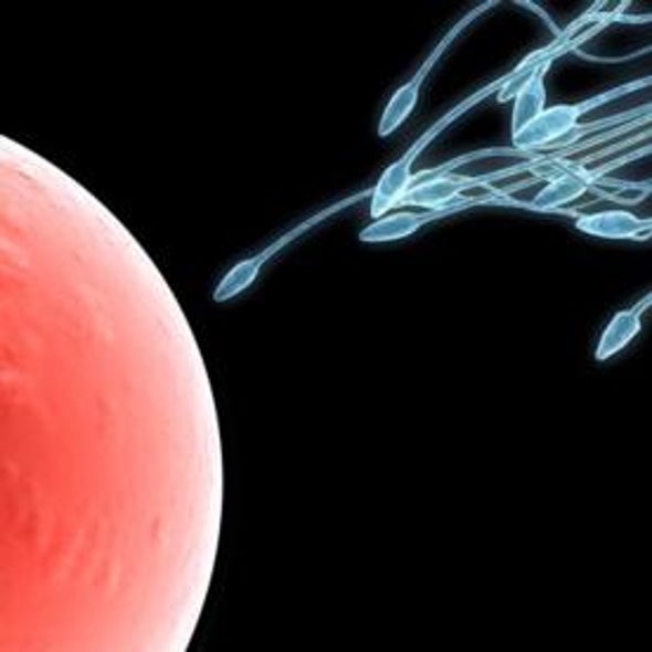 Beyond Condoms: The Long Quest for a Better Male Contraceptive