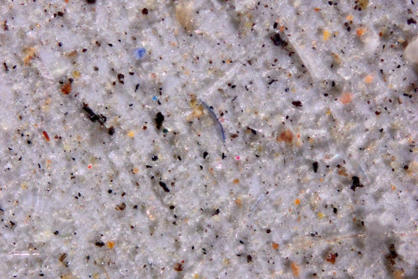 Thousands of Tons of Microplastics Are Falling from the Sky