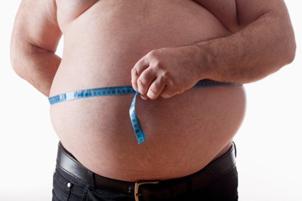 How Lab Rats Are Changing Our View of Obesity