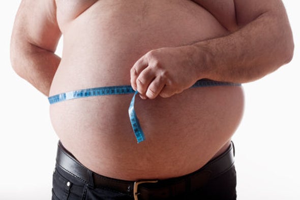 How Lab Rats Are Changing Our View of Obesity