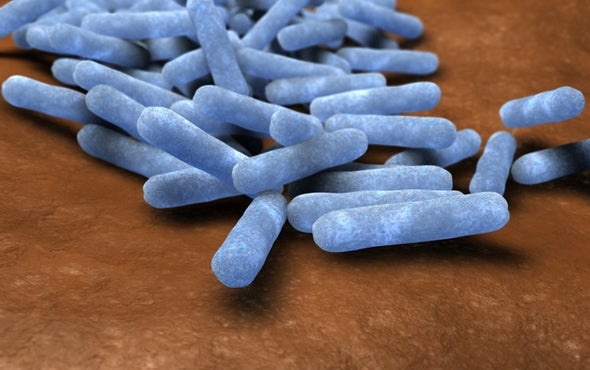 Alliance of Bacterial Strains Disables Antibiotics
