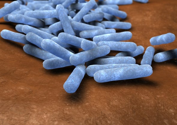 Alliance of Bacterial Strains Disables Antibiotics