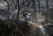 Unprecedented Fire Season Has Raged Through One of Earth's Biodiversity Hotspots