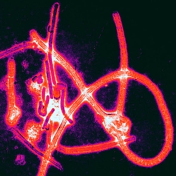 Ebola Now Poses a Threat to National Security in West Africa
