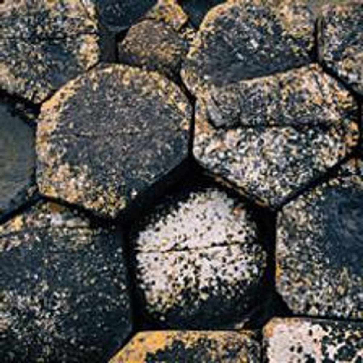 Caronate Rocks Storage Carbon Rock Lock: Storing CO2 on the East Coast | Scientific American